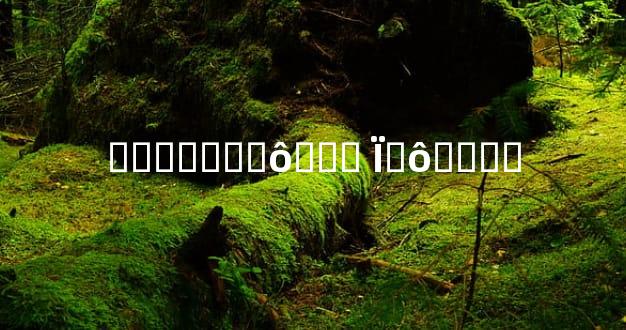 ������ʲô��˼ Ϊʲô����